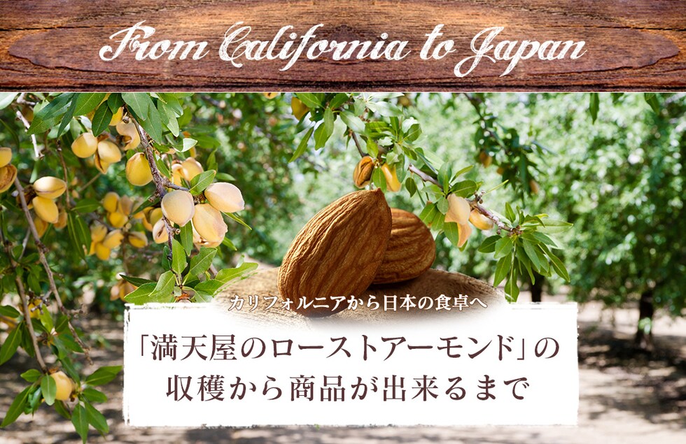 “アーモンド”