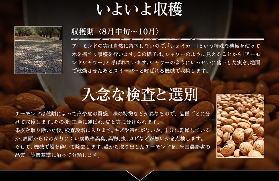 “アーモンド”