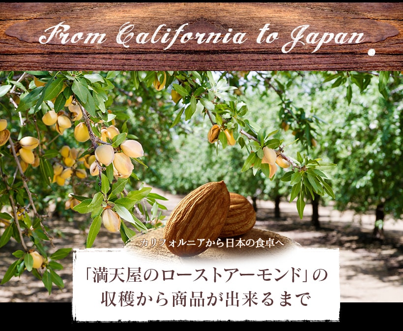 “アーモンド”