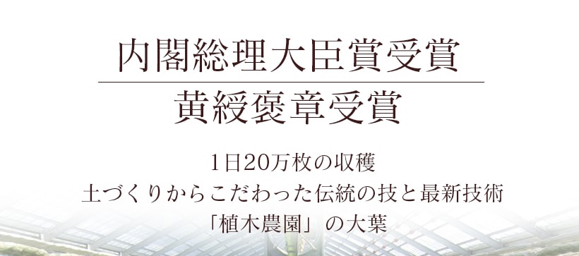 “ジェノベーゼ風