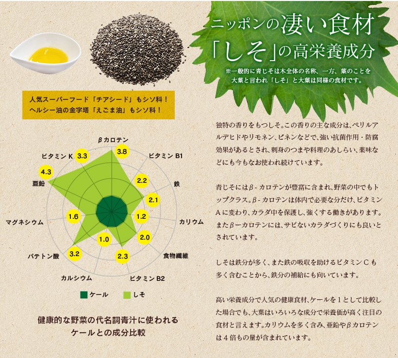 “ジェノベーゼ風