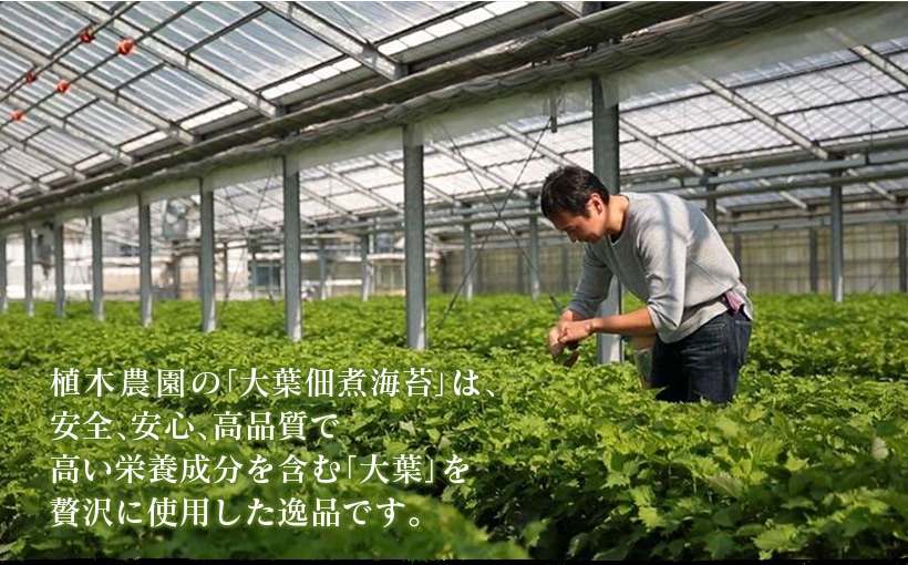 “ジェノベーゼ風