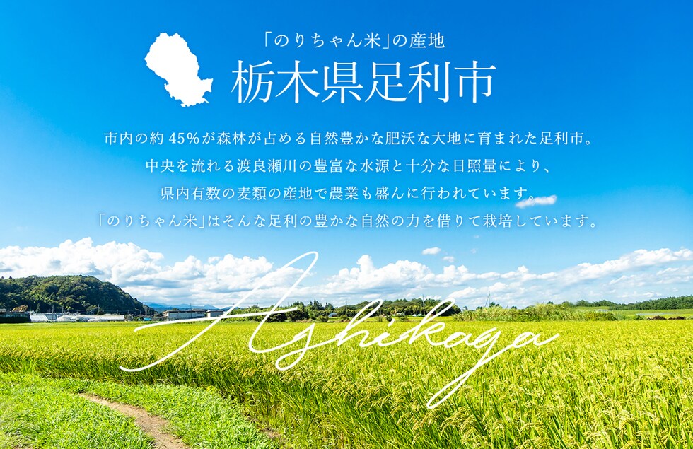 “のりちゃん粉”