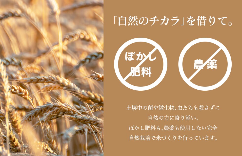 “のりちゃん粉”