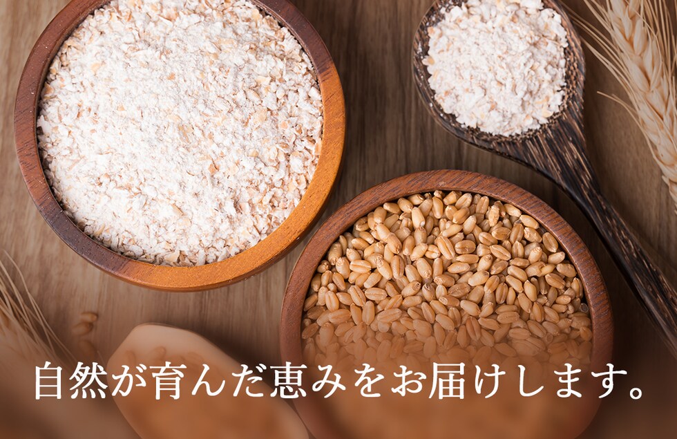“のりちゃん粉”