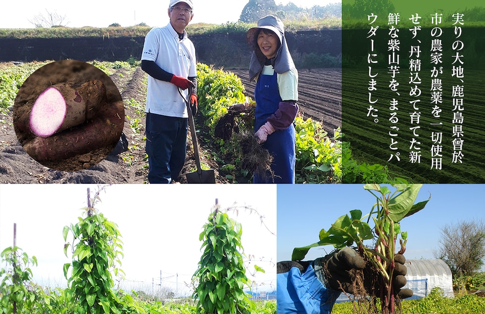 “紫山芋パウダー”