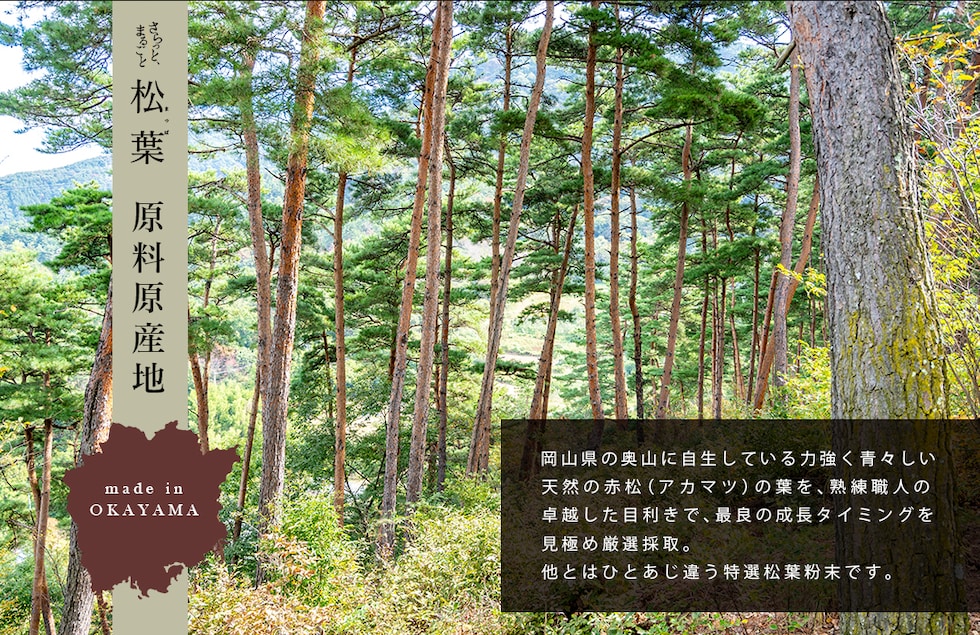 “松葉パウダー”