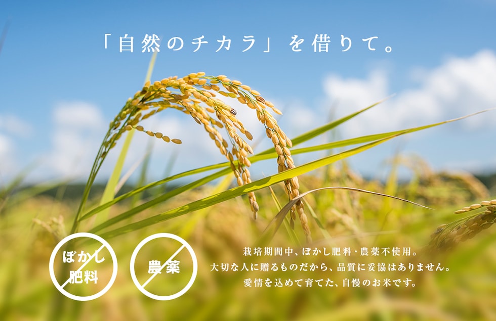 “メッセージ米”