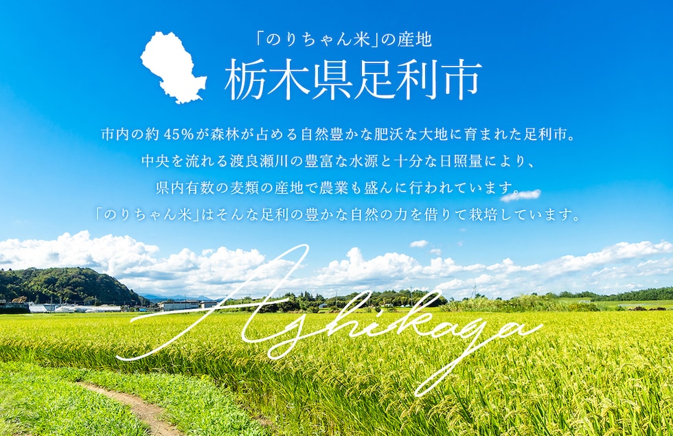 “のりちゃん米