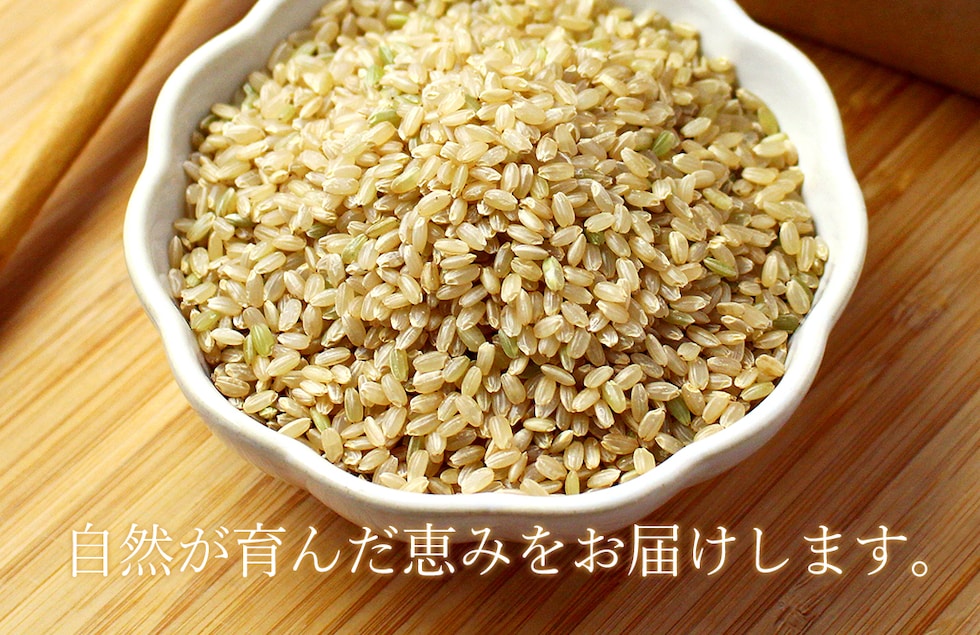 “のりちゃん米