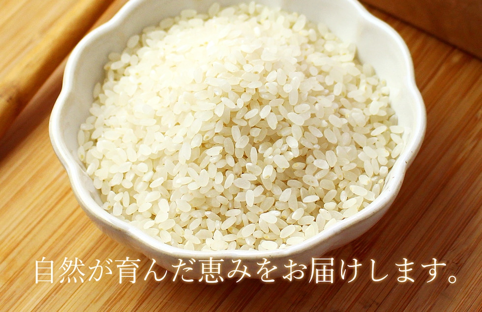 “のりちゃん米