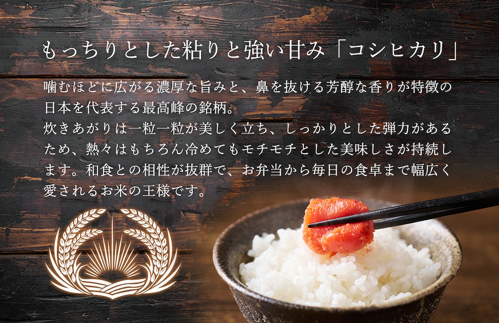 “のりちゃん米