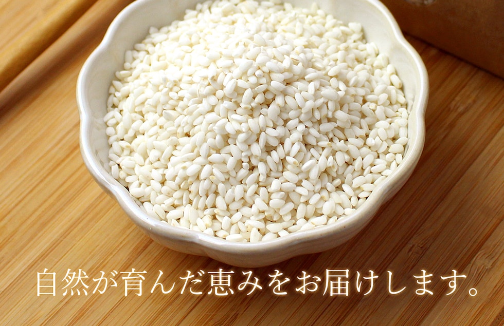 “のりちゃん米