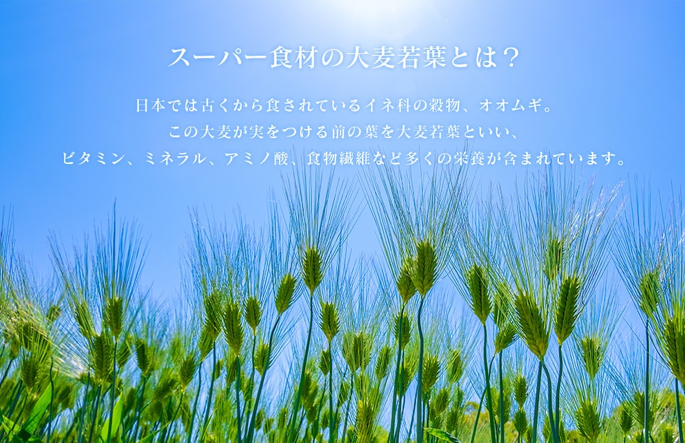 “大麦若葉パウダー”
