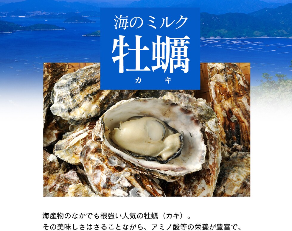 “牡蠣エキスパウダー”
