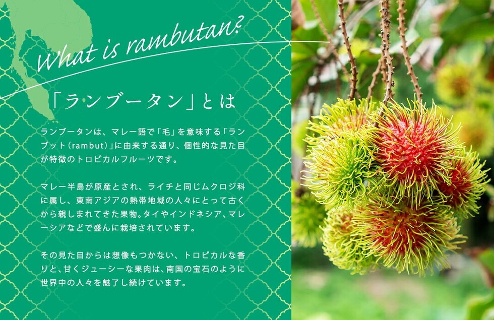 “ランブータン