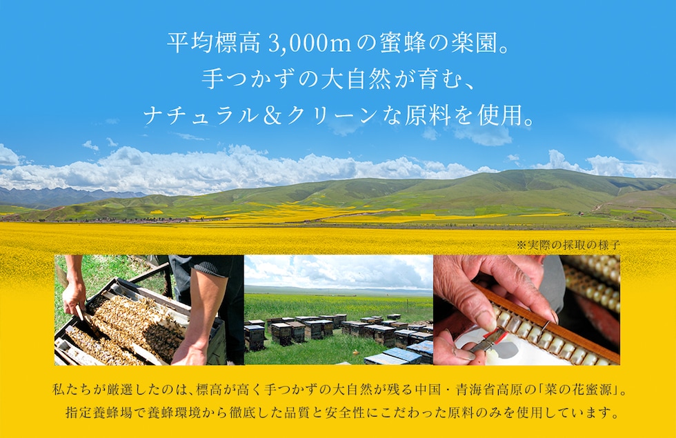 “ローヤルゼリーパウダー”