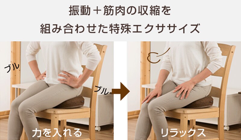 背筋がGUUUN 美姿勢座椅子 エグゼボート