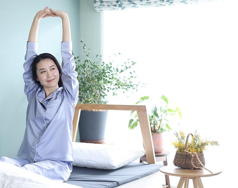 ピーエーエス Recover-lay ダブル