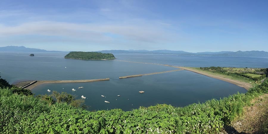 大新 鹿児島県産 うなぎ蒲焼 カット 5袋 1セット