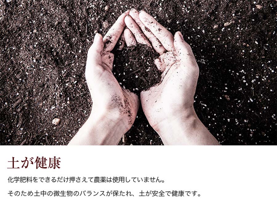 十勝スロウフード 牛とろフレーク（たれ付き） 1セット