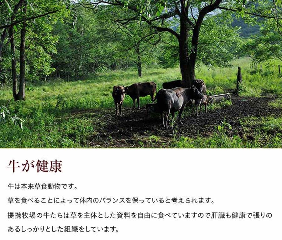 十勝スロウフード 牛とろフレーク（たれ付き） 1セット