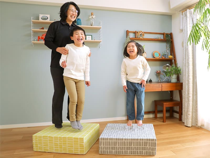 ピーエーエス TOVOCCA（トボッカ） ホームフィットネスクッション