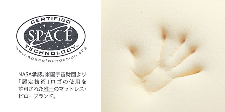 テンピュール(R) ロングハグピロー 1100A2