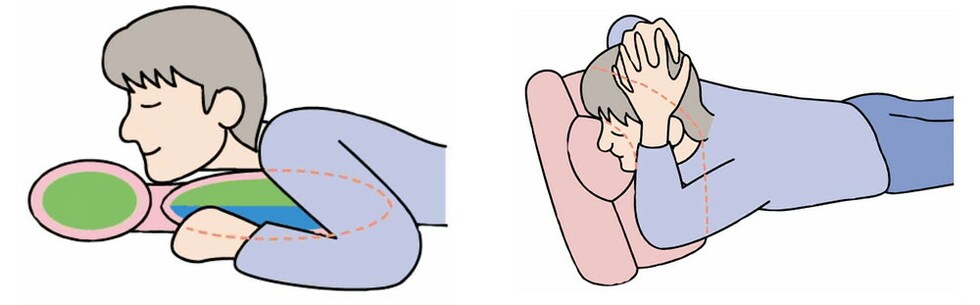 ヘラルドハウスウェア カネやんのカイロプラクターピロー