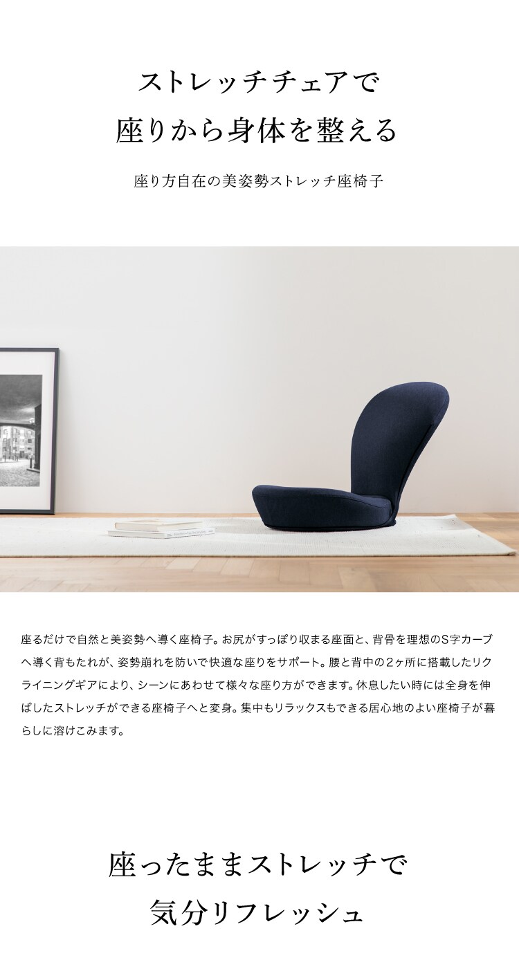ドリーム &MEDICAL STRETCH CHAIR（ストレッチチェア） 0070-4116 1台