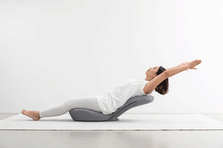 ドリーム &MEDICAL STRETCH CHAIR（ストレッチチェア） 0070-4116 1台