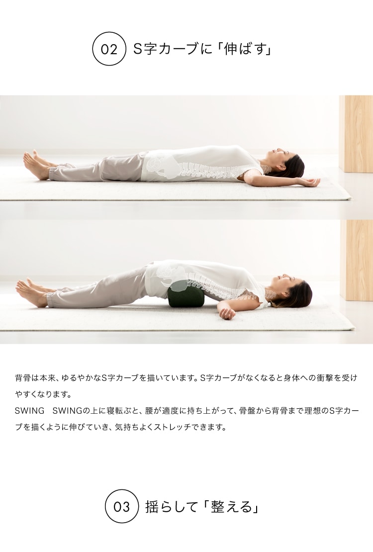 ドリーム &MEDICAL SWING SWING（スイング スイング） 0070-4114 1台