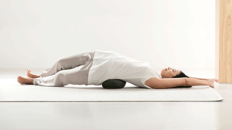 ドリーム &MEDICAL SWING SWING（スイング スイング） 0070-4114 1台