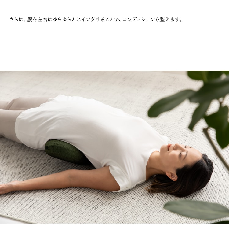 ドリーム &MEDICAL SWING SWING（スイング スイング） 0070-4114 1台