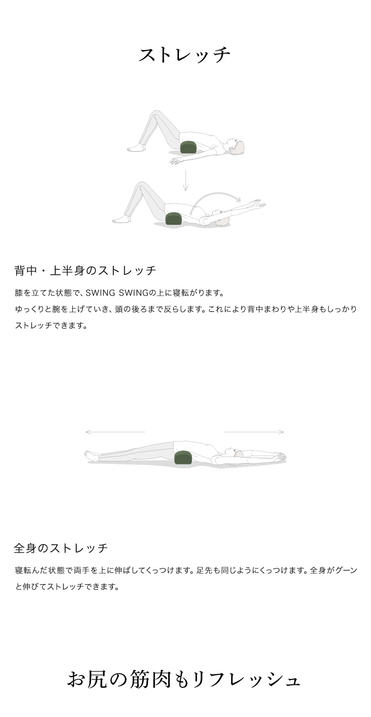 ドリーム &MEDICAL SWING SWING（スイング スイング） 0070-4114 1台