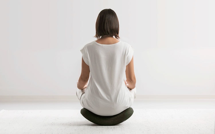 ドリーム &MEDICAL SWING SWING（スイング スイング） 0070-4114 1台