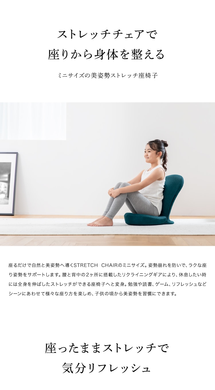 ドリーム &MEDICAL STRETCH CHAIR MINI（ストレッチチェアミニ） 0070-4117 1台