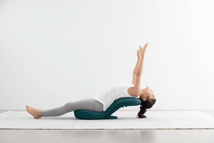 ドリーム &MEDICAL STRETCH CHAIR MINI（ストレッチチェアミニ） 0070-4117 1台