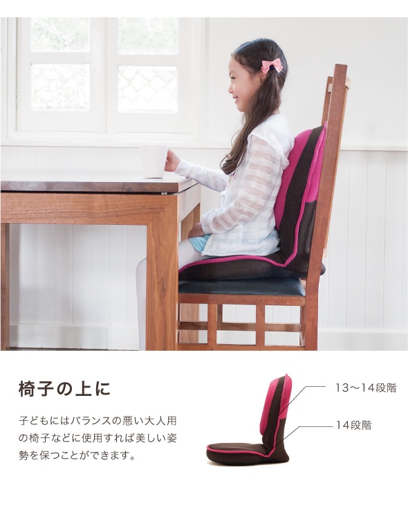 ドリーム プロイデア 背筋がGUUUN 美姿勢座椅子 コンパクト 0070-2633 1台