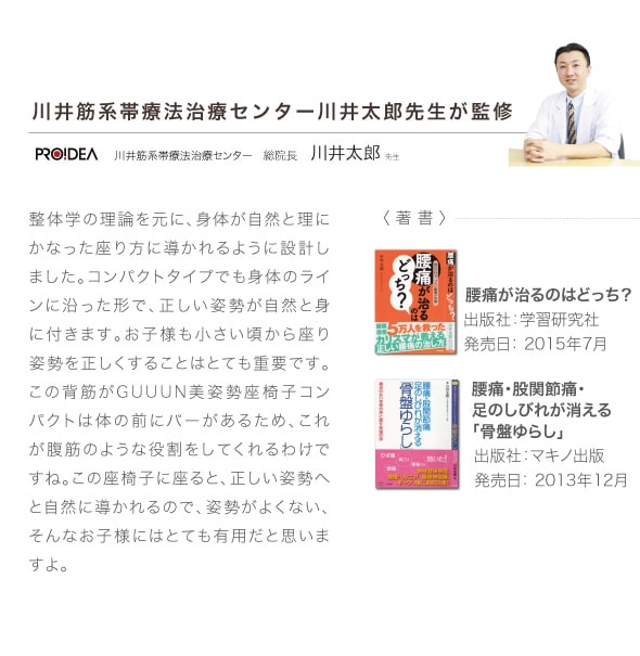 ドリーム プロイデア 背筋がGUUUN 美姿勢座椅子 コンパクト 0070-2633 1台