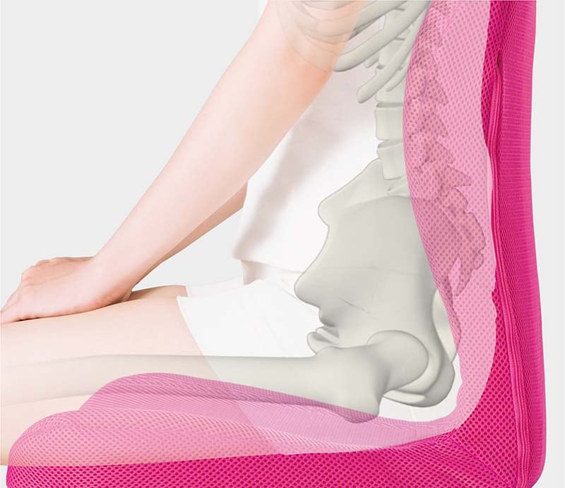 ピーエーエス p!nto（ピント） ビューティー 姿勢サポートクッション