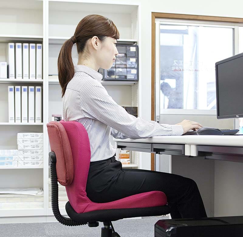 ピーエーエス p!nto（ピント） ビューティー 姿勢サポートクッション