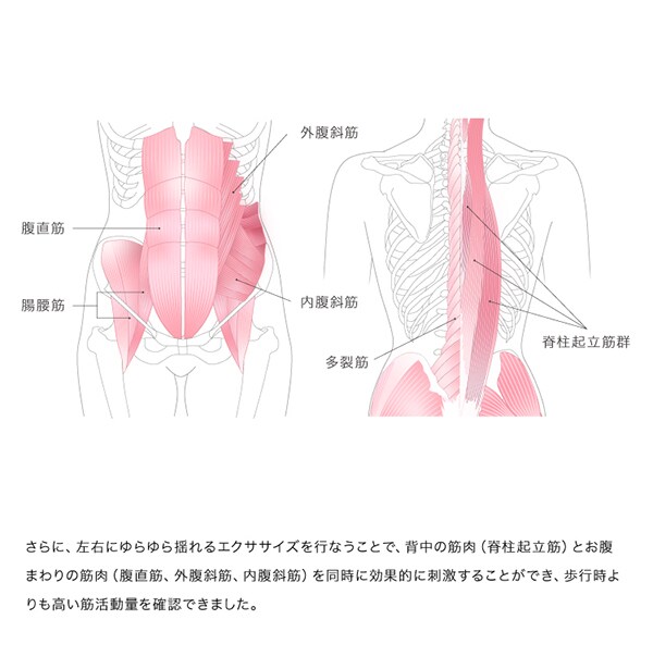 &MEDICAL MALLOW（マロウ）