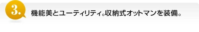 ファミリー・ライフ グラヴィーナ 日本製 NEWくつろぎのリクライニングアームチェアDX2