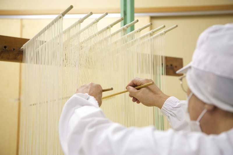 【訳あり】 アイブリッジ お徳用 稲庭うどん 2.5kg １箱（2.5kg）