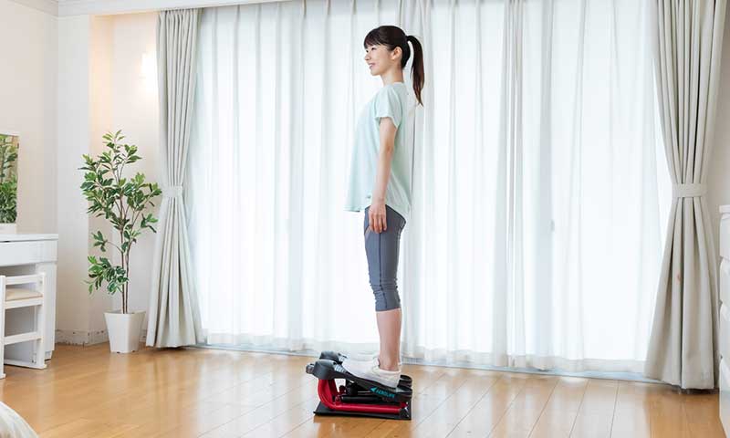 モダンロイヤル エアロライフ ストレッチステッパー