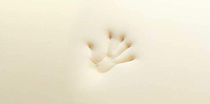 テンピュール(R) プロ フトン 折りたたみマットレス 三つ折り シングル