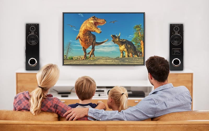 クマザキエイム Retro Sound ダイナミック サウンドスピーカー DS-12 1台