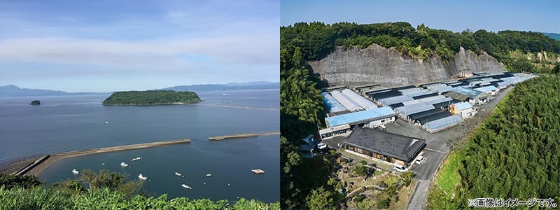 ニチモウフーズ 鹿児島県産 こだわりうなぎ蒲焼 カット+きざみセット 各2袋 1セット