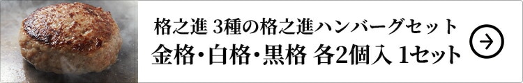 格之進 3種の格之進ハンバーグセット 金格・白格・黒格 各2個入 1セット：金格、白格、黒格×各2個入（計6個入）